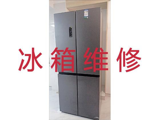 宁波电冰箱维修上门服务